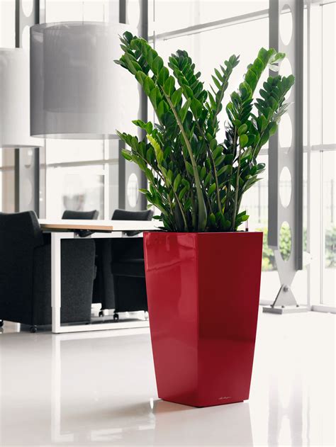 Lechuza planter - Not only do these planters conserve water, they are the perfect solution if you travel and have difficulty keeping up with the watering needs of your plants, and prevent root rot. View Product 20 in. Orinda Large Black Wood Barrel Planter (20 in. D x 13 in. H)